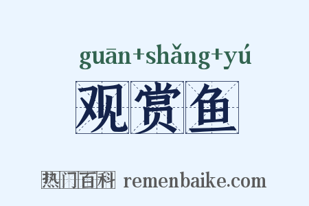 观赏鱼是什么意思的图片